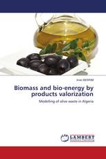 Biomass and bio-energy by products valorization