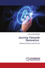 Journey Towards Nanowires