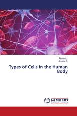 Types of Cells in the Human Body