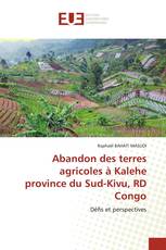 Abandon des terres agricoles à Kalehe province du Sud-Kivu, RD Congo