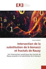 Intersection de la substitution de k-bonacci et fractals de Rauzy