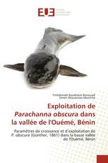 Exploitation de Parachanna obscura dans la vallée de l'Ouémé, Bénin