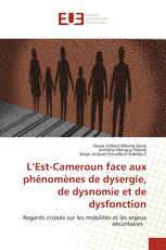 L’Est-Cameroun face aux phénomènes de dysergie, de dysnomie et de dysfonction