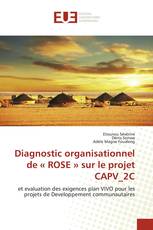 Diagnostic organisationnel de « ROSE » sur le projet CAPV_2C