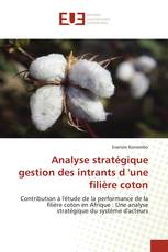 Analyse stratégique gestion des intrants d 'une filière coton