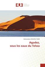 Agadez, sous les eaux du Telwa