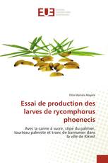 Essai de production des larves de rycomphorus phoenecis