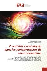 Propriétés excitoniques dans les nanostructures de semiconducteurs