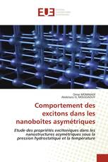 Comportement des excitons dans les nanoboîtes asymétriques