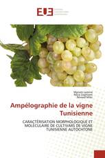 Ampélographie de la vigne Tunisienne