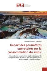 Impact des paramètres opératoires sur la consommation du smbs.