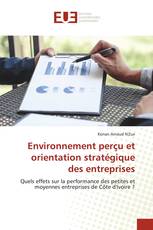 Environnement perçu et orientation stratégique des entreprises