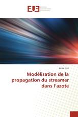 Modélisation de la propagation du streamer dans l’azote