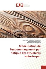 Modélisation de l'endommagement par fatigue des structures anisotropes