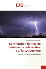 Contribution du flux de mousson de l’été austral sur la cyclogenèse