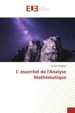 L' essentiel de l'Analyse Mathématique