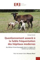 Questionnement associé à la faible fréquentation des hôpitaux modernes