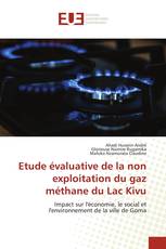 Etude évaluative de la non exploitation du gaz méthane du Lac Kivu