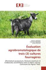 Évaluation agrobromatologique de trois (3) cultures fourragères