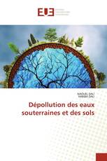 Dépollution des eaux souterraines et des sols