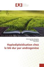 Haplodiploïdisation chez le blé dur par androgenèse