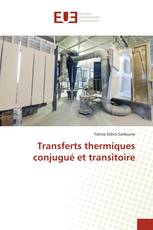 Transferts thermiques conjugué et transitoire
