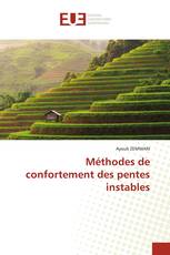 Méthodes de confortement des pentes instables
