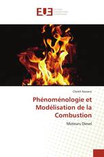 Phénoménologie et Modélisation de la Combustion