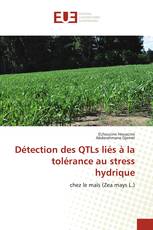 Détection des QTLs liés à la tolérance au stress hydrique