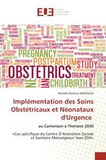 Implémentation des Soins Obstétricaux et Néonataux d'Urgence