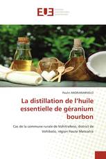 La distillation de l’huile essentielle de géranium bourbon