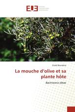 La mouche d’olive et sa plante hôte