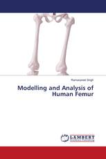 Modelling and Analysis of Human Femur