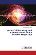 (Toroidal) Geometry and Hierarchisation of the Material Singularity