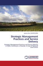 Strategic Management Practices and Service Delivery