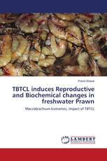 TBTCL induces Reproductive and Biochemical changes in freshwater Prawn