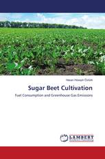 Sugar Beet Cultivation