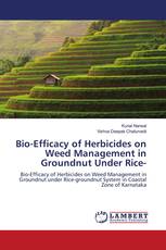 Bio-Efficacy of Herbicides on Weed Management in Groundnut Under Rice-