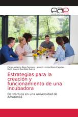 Estrategias para la creación y funcionamiento de una incubadora