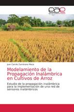 Modelamiento de la Propagación Inalámbrica en Cultivos de Arroz