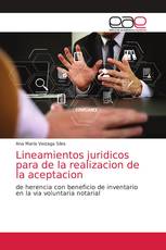 Lineamientos juridicos para de la realizacion de la aceptacion