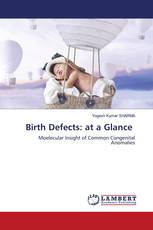 Birth Defects: at a Glance
