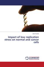 Impact of low replication stress on normal and cancer cells