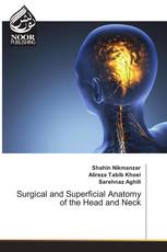 Surgical and Superficial Anatomy of the Head and Neck