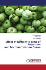 Effect of Different Forms of Potassium and Micronutrient on Guava