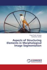 Aspects of Structuring Elements in Morphological Image Segmentation