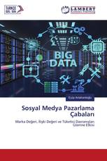 Sosyal Medya Pazarlama Çabaları