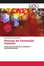 Proceso de Formación Docente