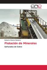 Flotación de Minerales