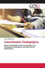 Coordinador Pedagógico